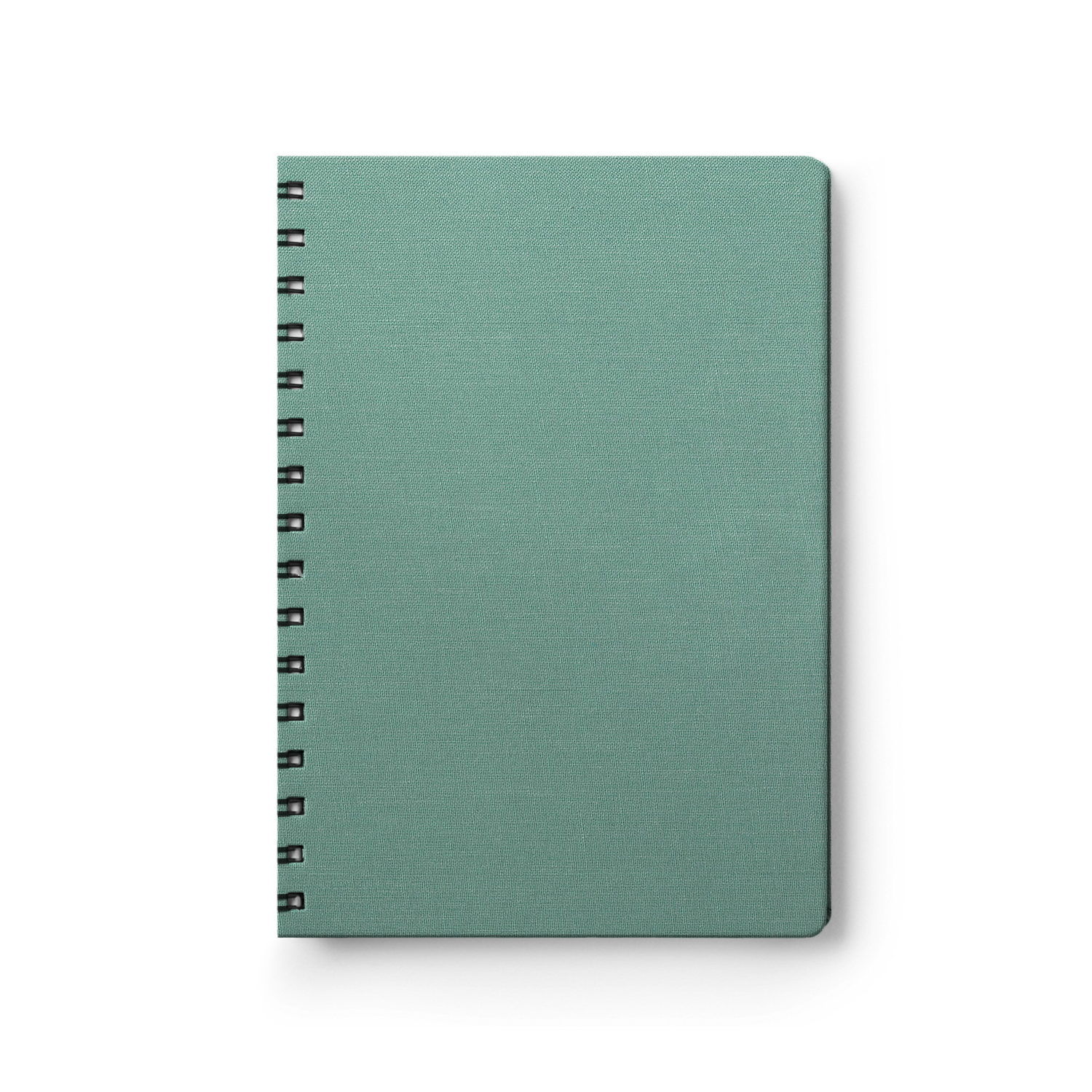 Canvas Seafoam Green-1