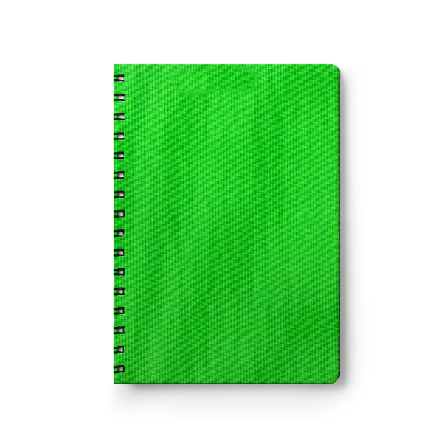 Canvas Lime-1